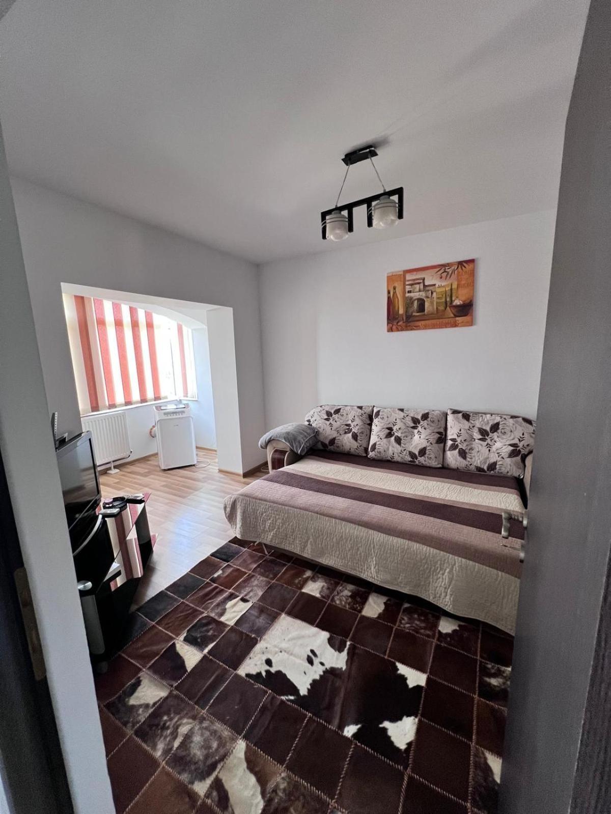 Chindia Apartament ทาร์โกวิชเต ภายนอก รูปภาพ